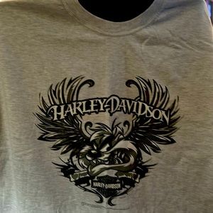 Harley Davidson 4xl Taz tshirt.